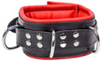 Lederhalsband gepolstert Rot