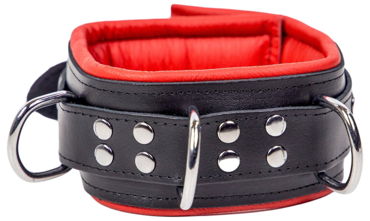 Lederhalsband gepolstert Rot