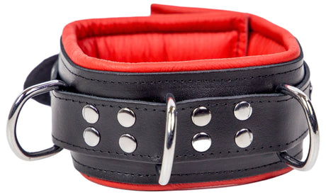 Lederhalsband gepolstert Rot