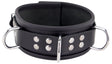 Lederhalskette D-Ring Schwarz