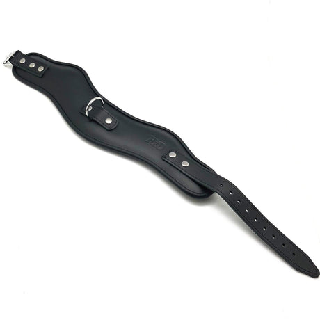 Lederkragen Schlange