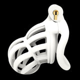 Narra Keuschheitsgürtel 8 x 3.6cm Weiß