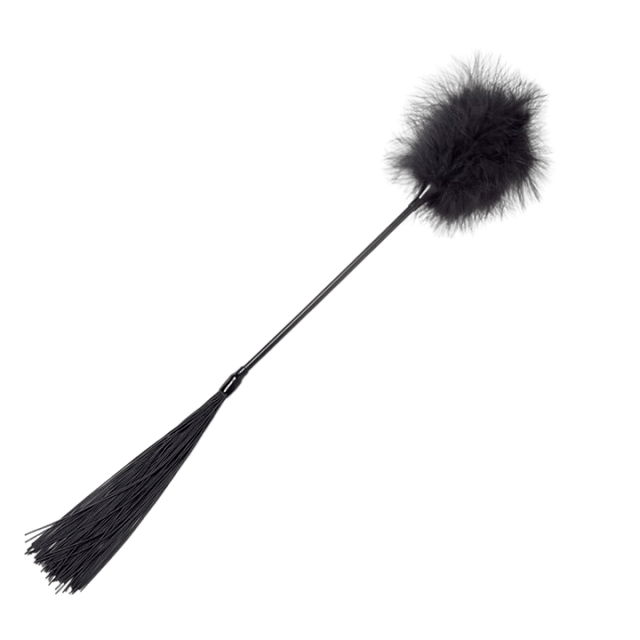 Peitsche Secret Play Staubwedel + Schwarze