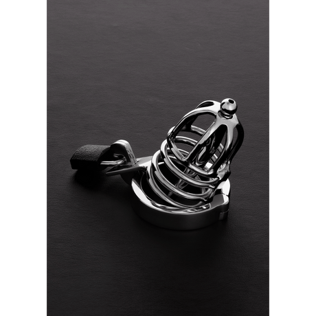 Peniskäfig Attica Silber 8 cm