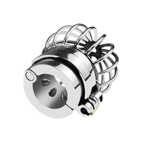 Peniskäfig für Hoden