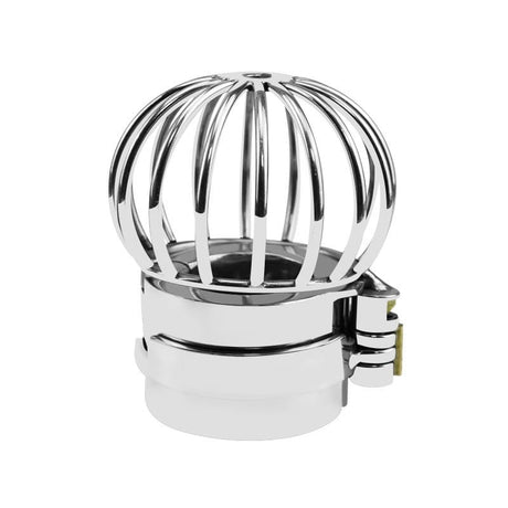 Peniskäfig für Hoden