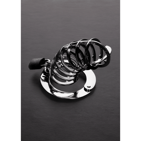 Peniskäfig mit Spikes und sieben Ringen Silber 9 x 4,5 cm