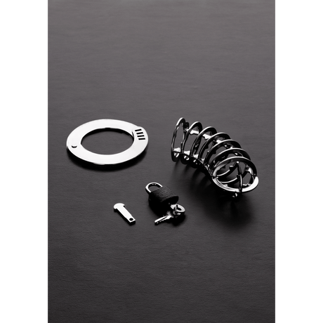 Peniskäfig mit Spikes und sieben Ringen Silber 9 x 4,5 cm – Ansicht 2