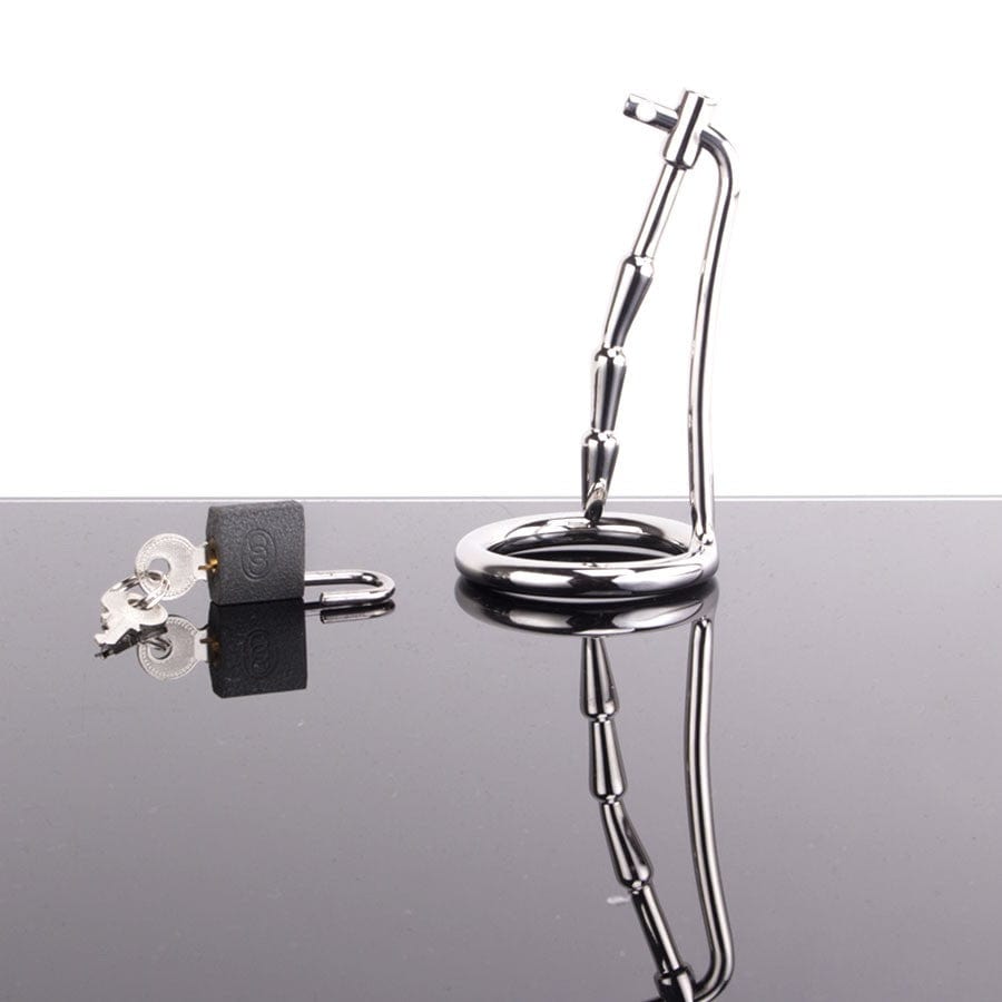 Penisplug mit Penisring dildodave.de Penisplug mit Penisring dildodave.de