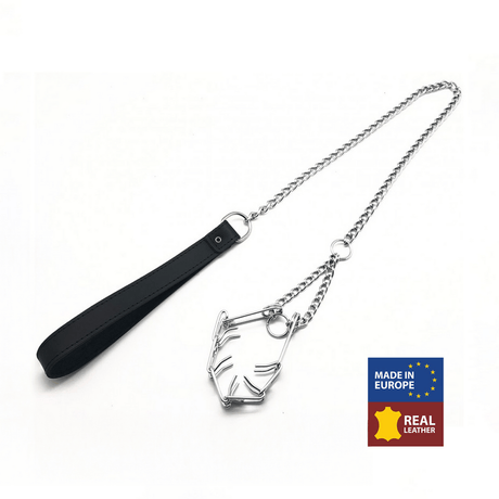 Penisring aus Metall mit Dornen und Kettenleine Silber