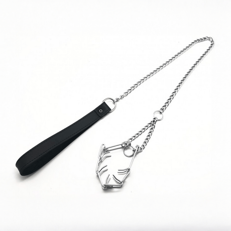 Penisring aus Metall mit Dornen und Kettenleine Silber – Ansicht 2