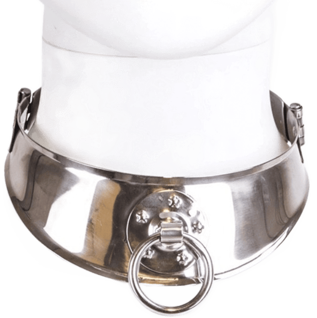 Rückhalte-Halsband mit Ring