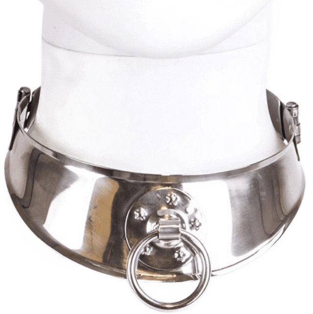 Rückhalte-Halsband mit Ring