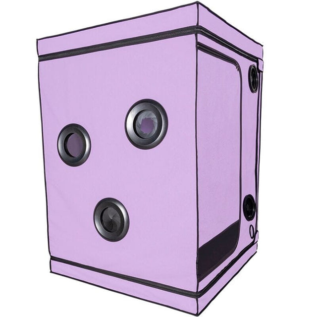 Fetisch-Toy Kink Club Cabin Scandale Lila