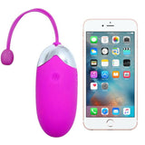 Vibrator Abner mit App-Steuerung