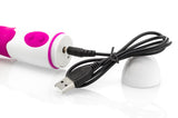 Vibrator Erregter Penis