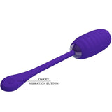 Vibrator Kirk Wiederaufladbares Vibrationsei Lila