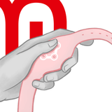 Vibrator Wireless-Technologie-Uhr Zartes Rosa – Ansicht 10