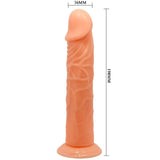 Realistischer Dildo Vive Natur 19,8 x 3,6 cm – Ansicht 6