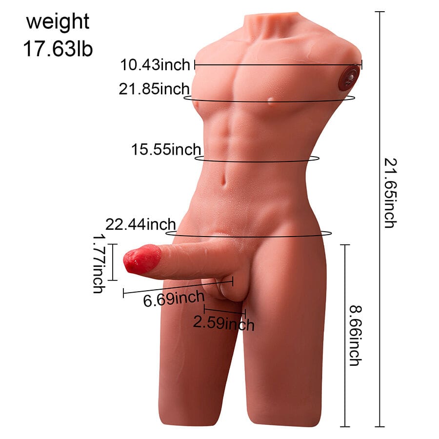 Liebespuppe Jason Halbkörper Realistischer Männlicher Torso mit Stoss- und.8