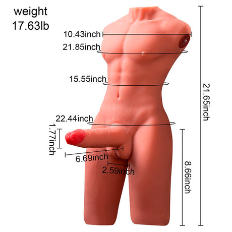 Liebespuppe Jason Halbkörper Realistischer Männlicher Torso mit Stoss- und.8